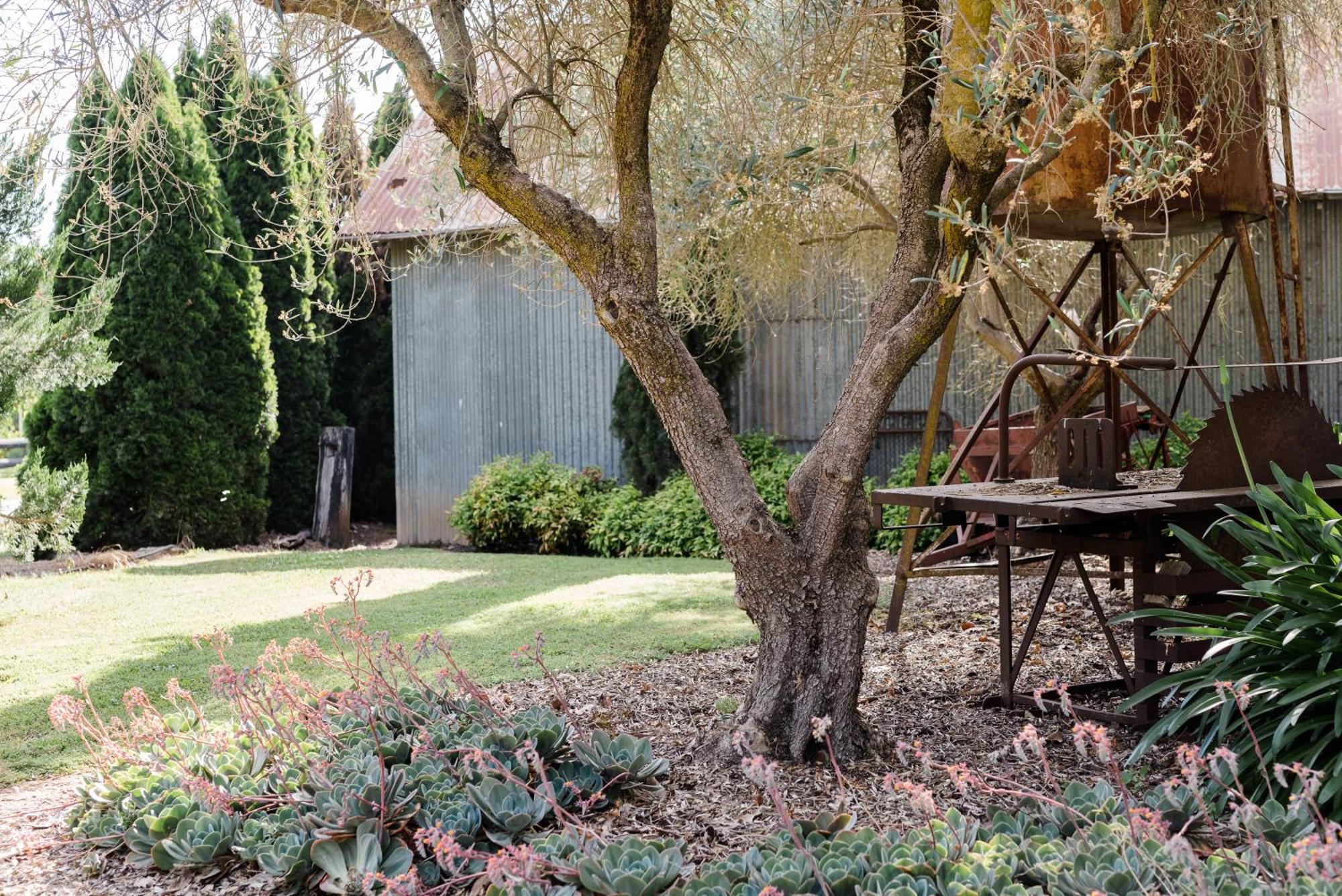 Walnut Tree Cottages Whorouly Exteriér fotografie